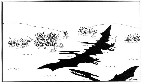 Chasse bizarre-humourenvrac